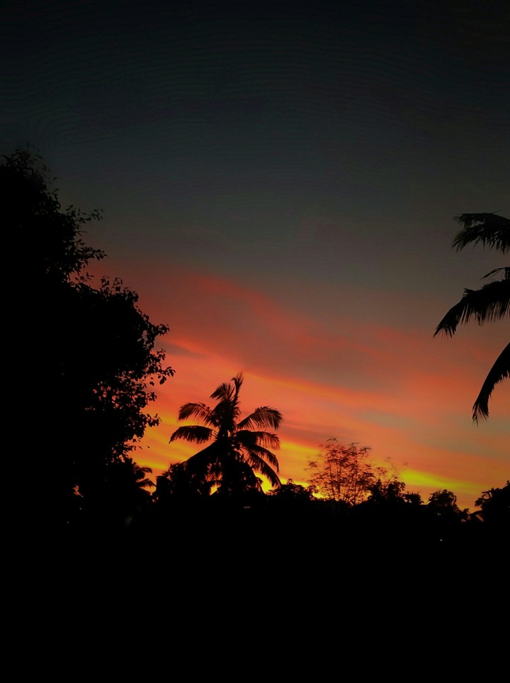 lazy evening