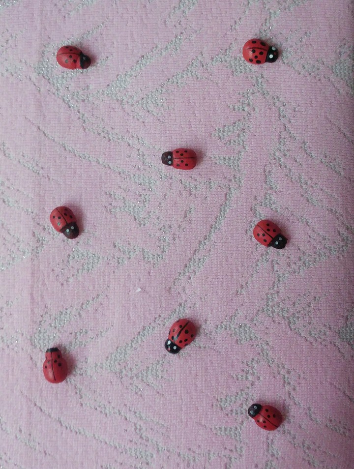 божьи коровки