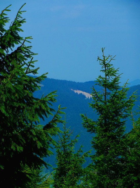 mountain