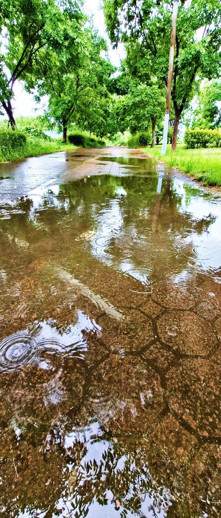 .