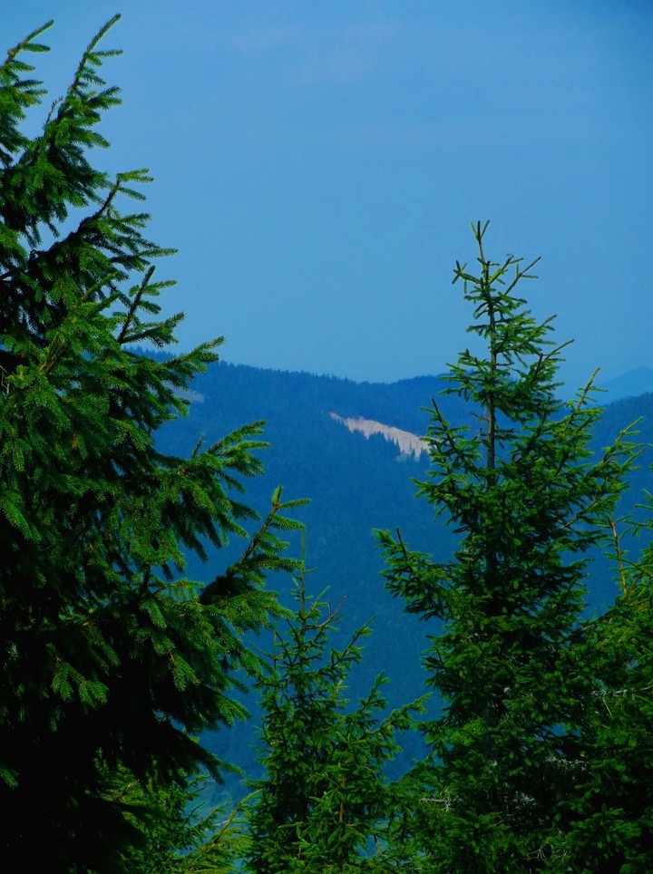 mountain