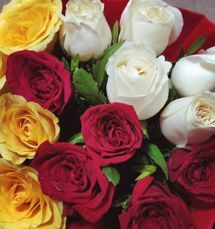 #rose#