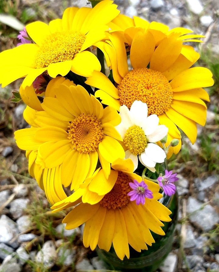flowers
