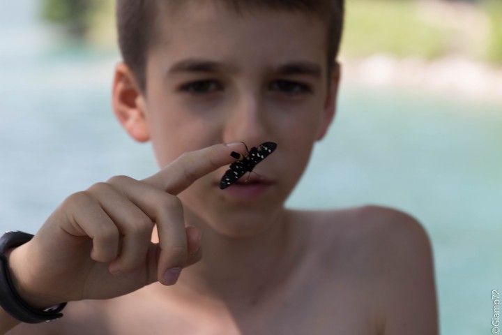 batterfly