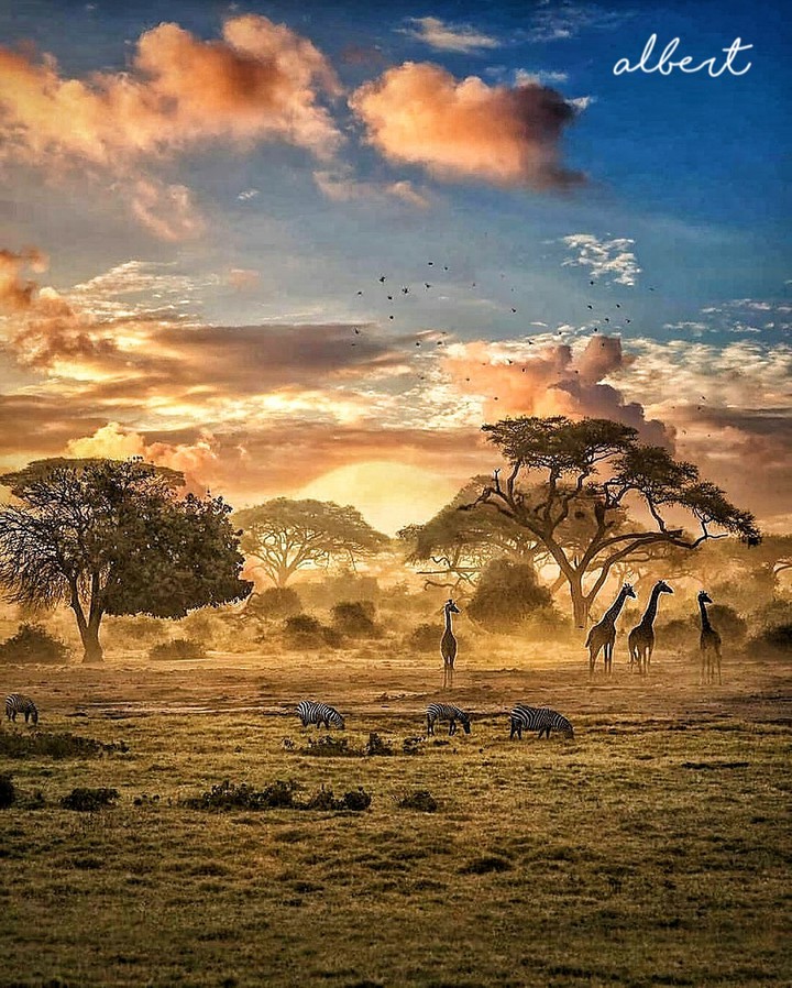 africa