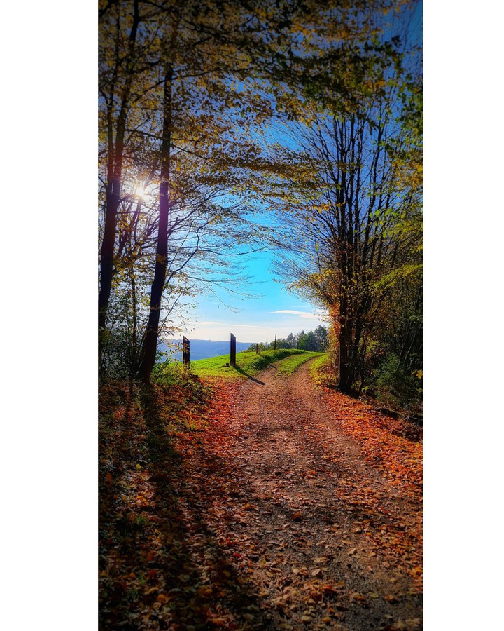 Herbst in Engelskirchen