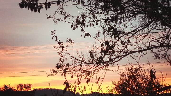 Morning