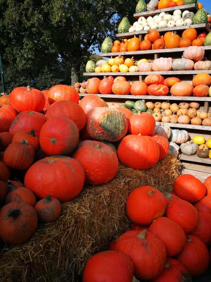 Welcome Autumn