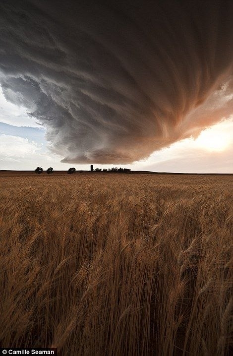 wonders of nature