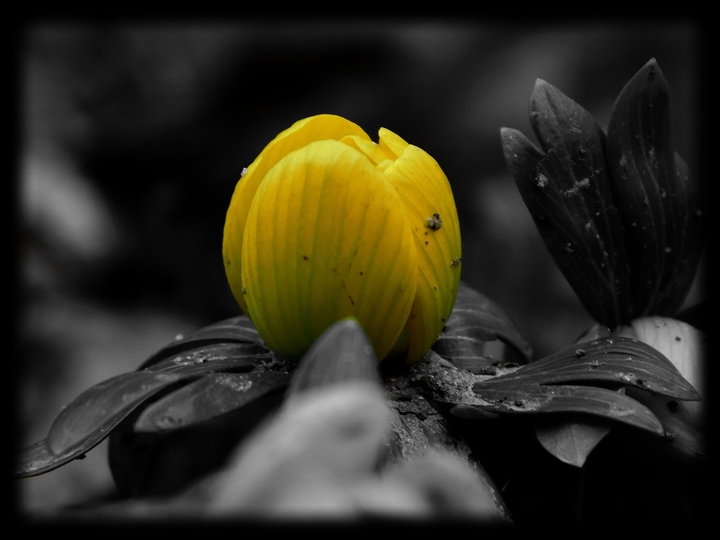 Awakening of nature 