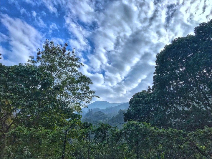 Sky