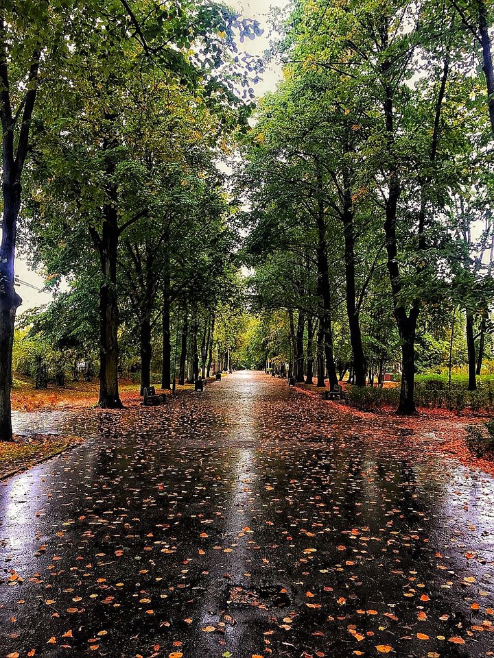 park