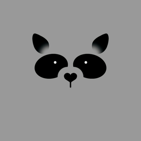 Raccoon.