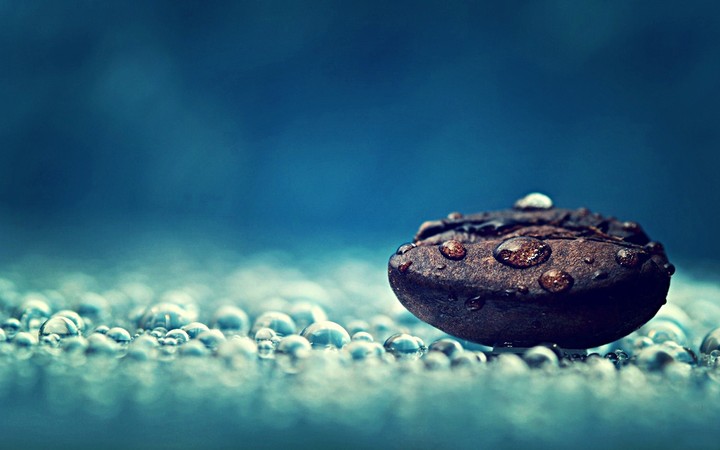 water drops on coffee bean