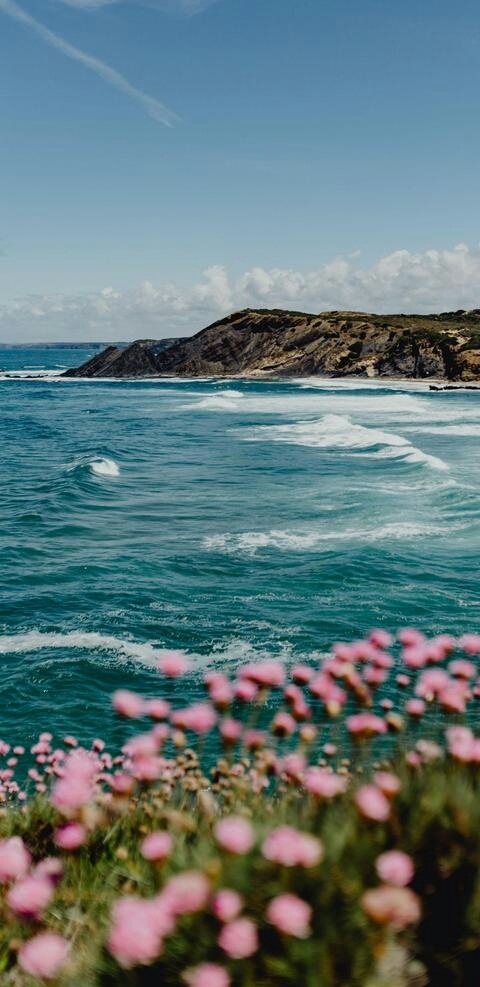 sea