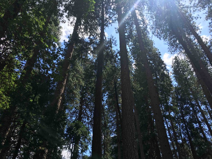 Yosemite