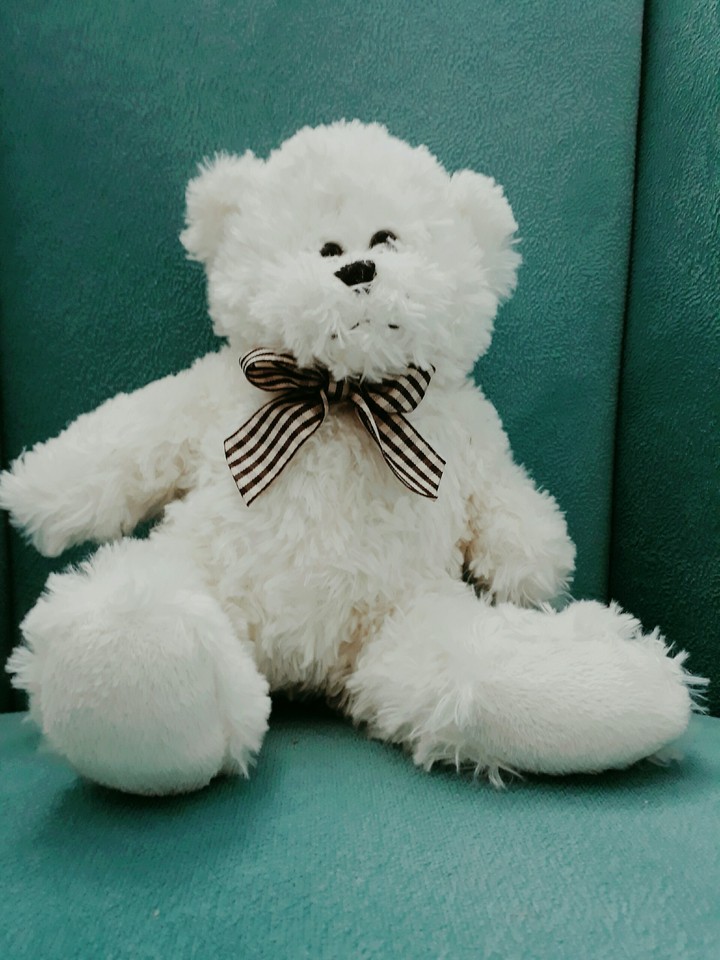 bear