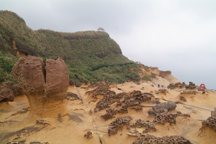 Scenics