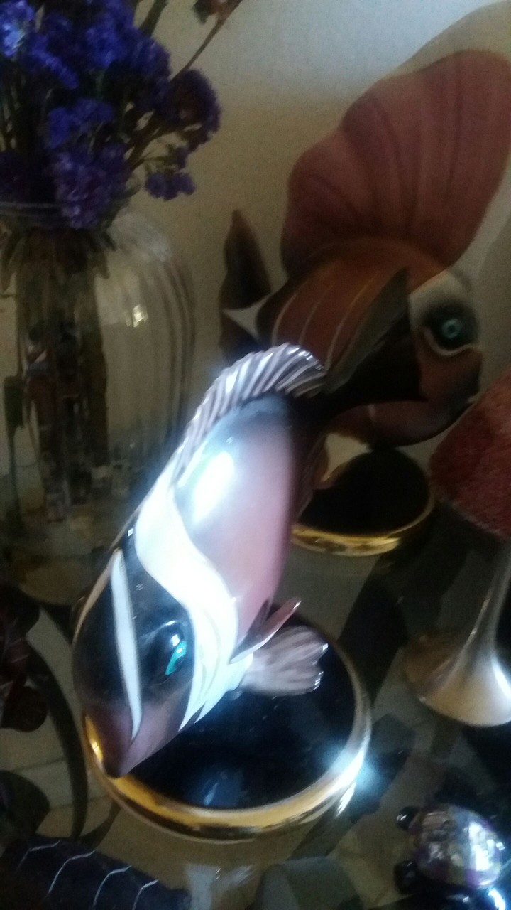 love the marine life