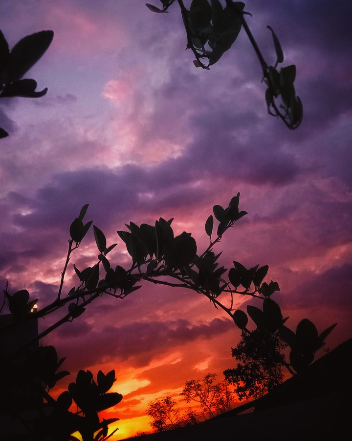 nature