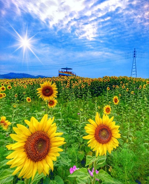 lovely day...