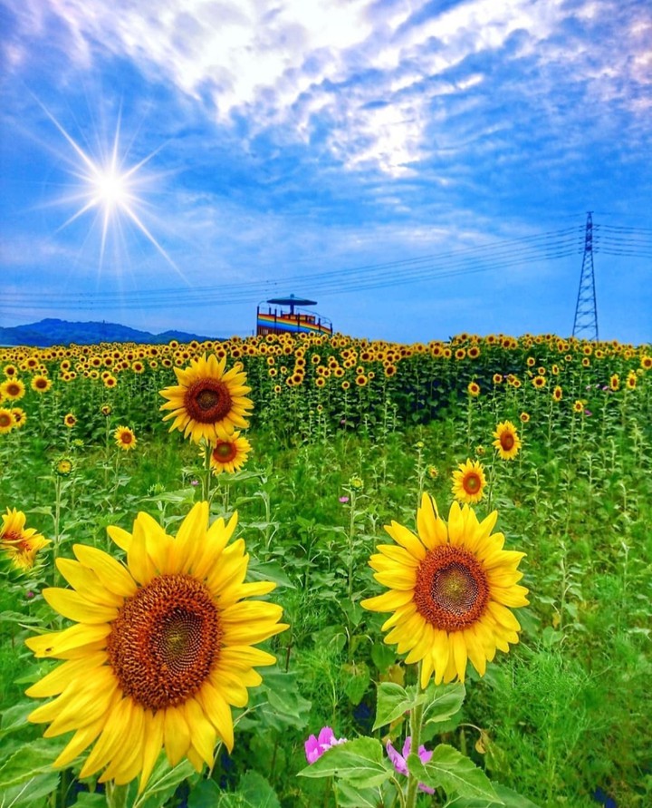lovely day...