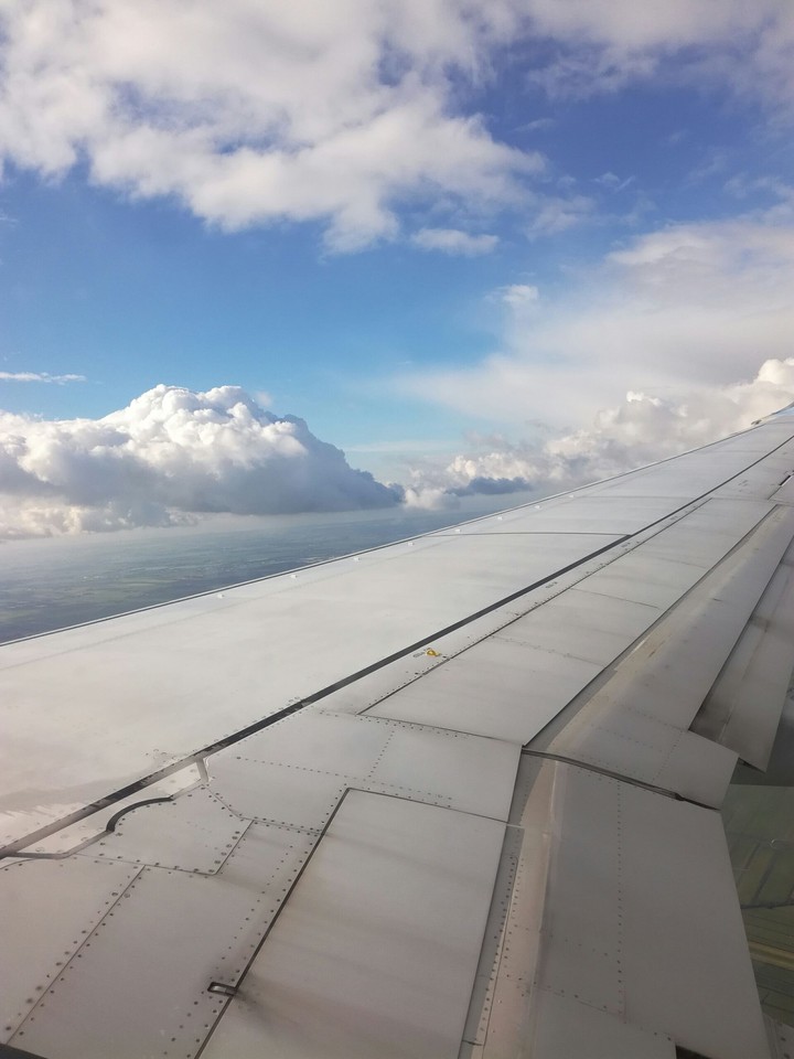 Up in the Sky