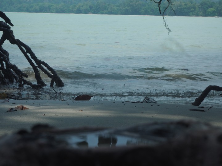beach