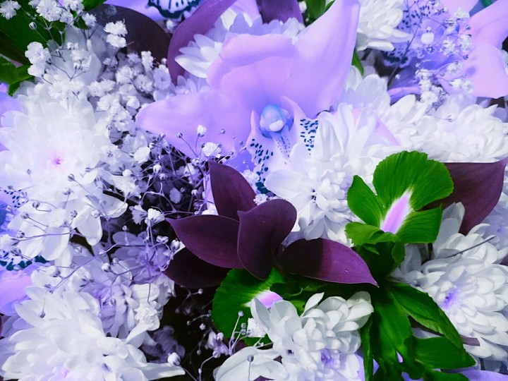 bouquet of flowers