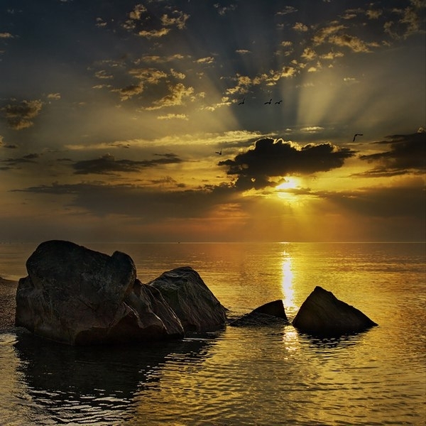море
