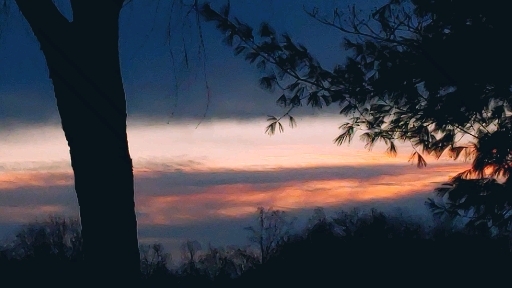 beautiful Tuesday morning