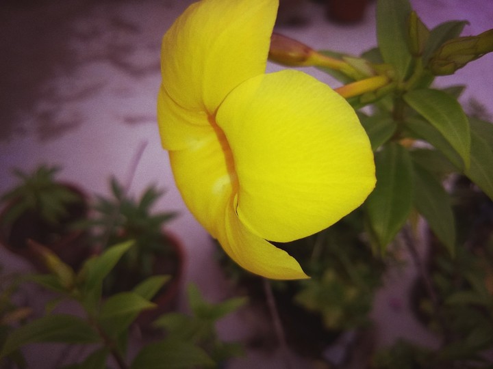 Random clicks