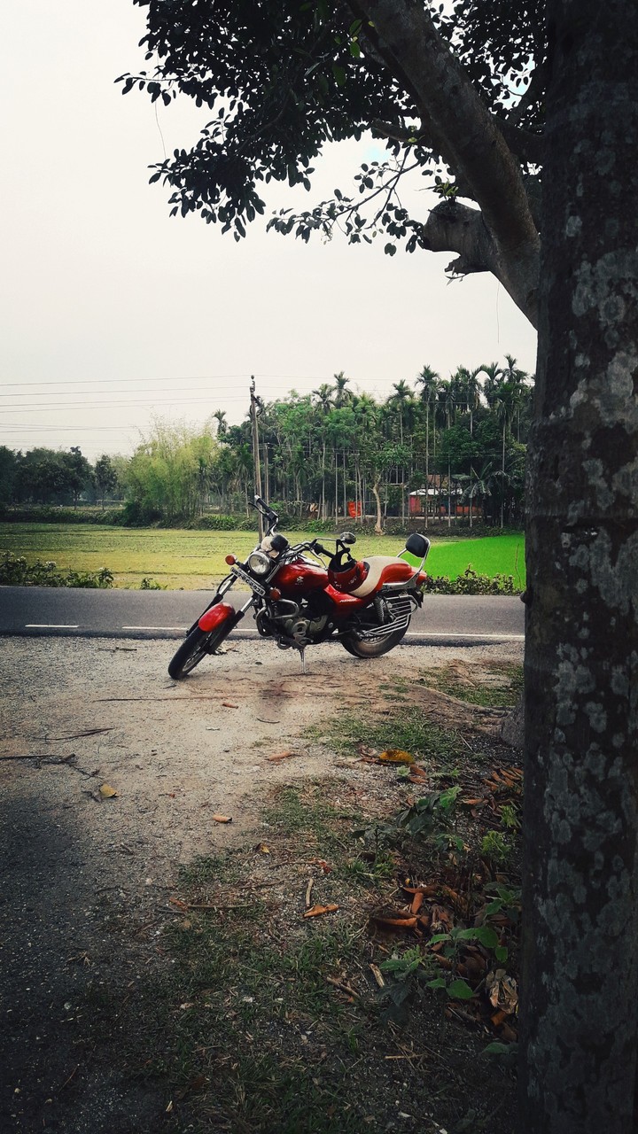 A Bike in a Country Road