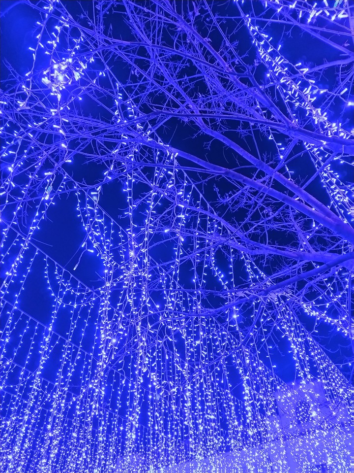 Garlands