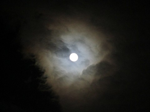 Night sky