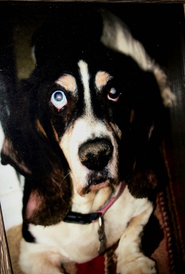 Rest In Peace baby girl!