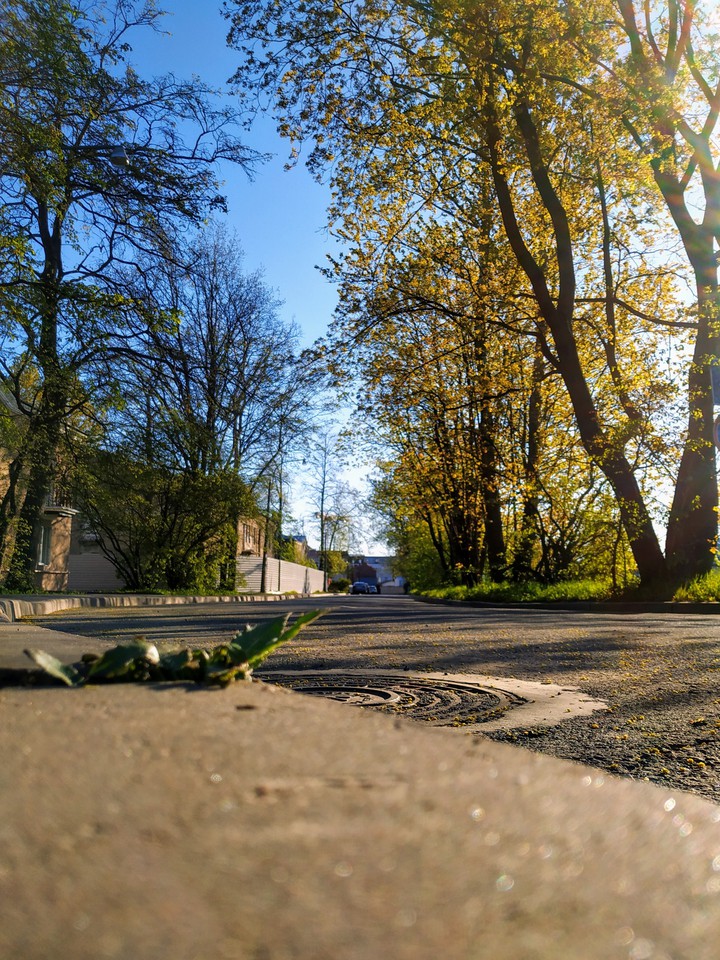 осень(