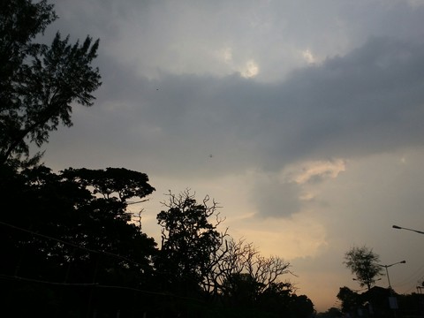 Evening