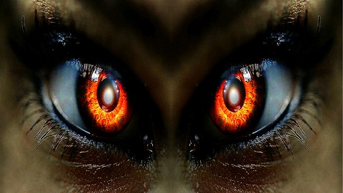 Eye
