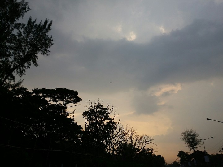 Evening
