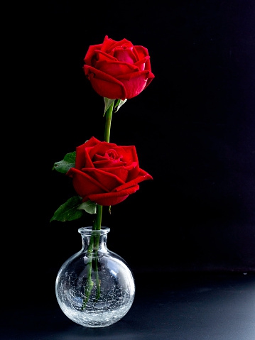 for you