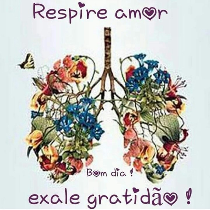 gratidão e amor