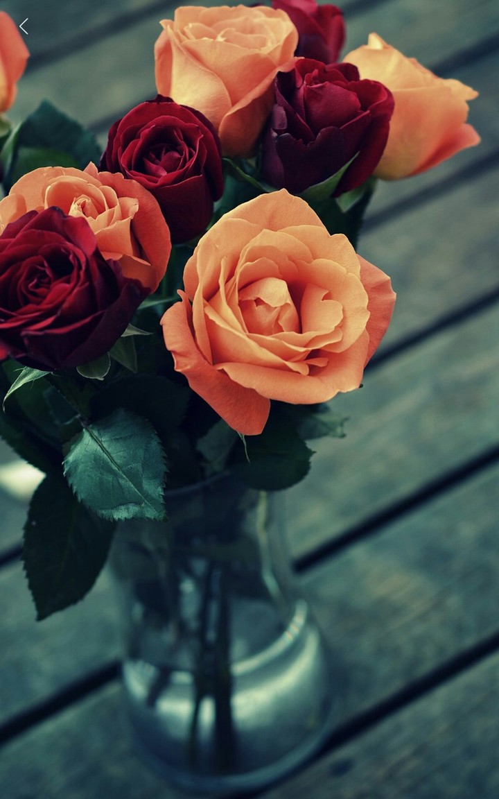 Roses