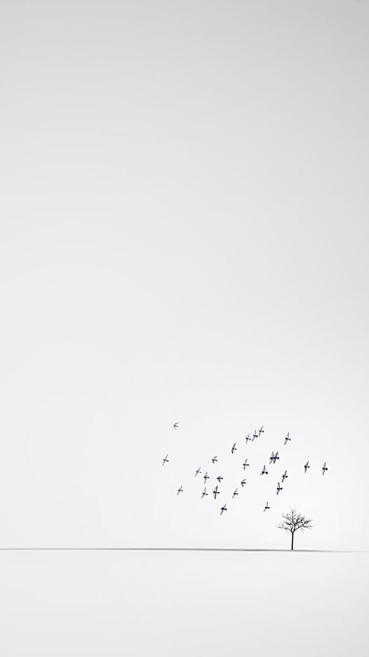 simple fonds d'écran