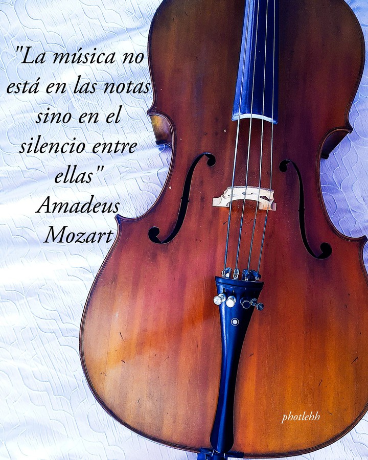 Violoncello