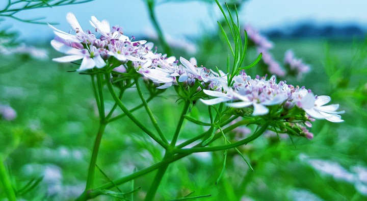 Beauty of nature