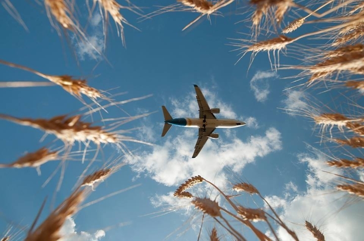 Sky ship airlines International Airlines Ukraine