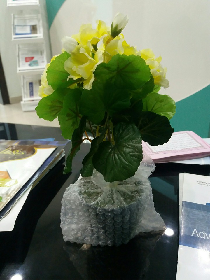 flowers