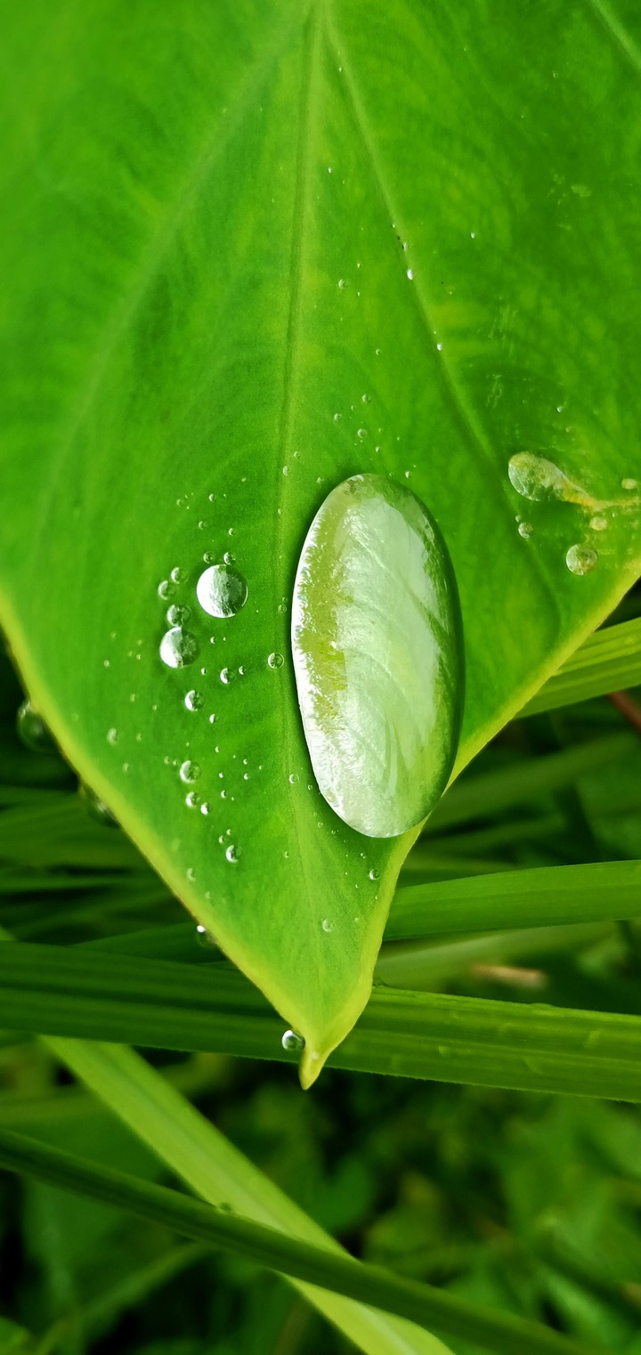 water drop