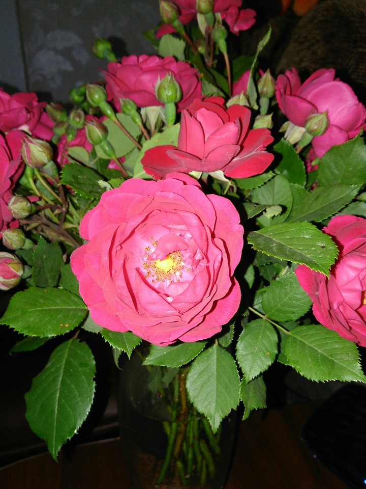 bouquet of roses